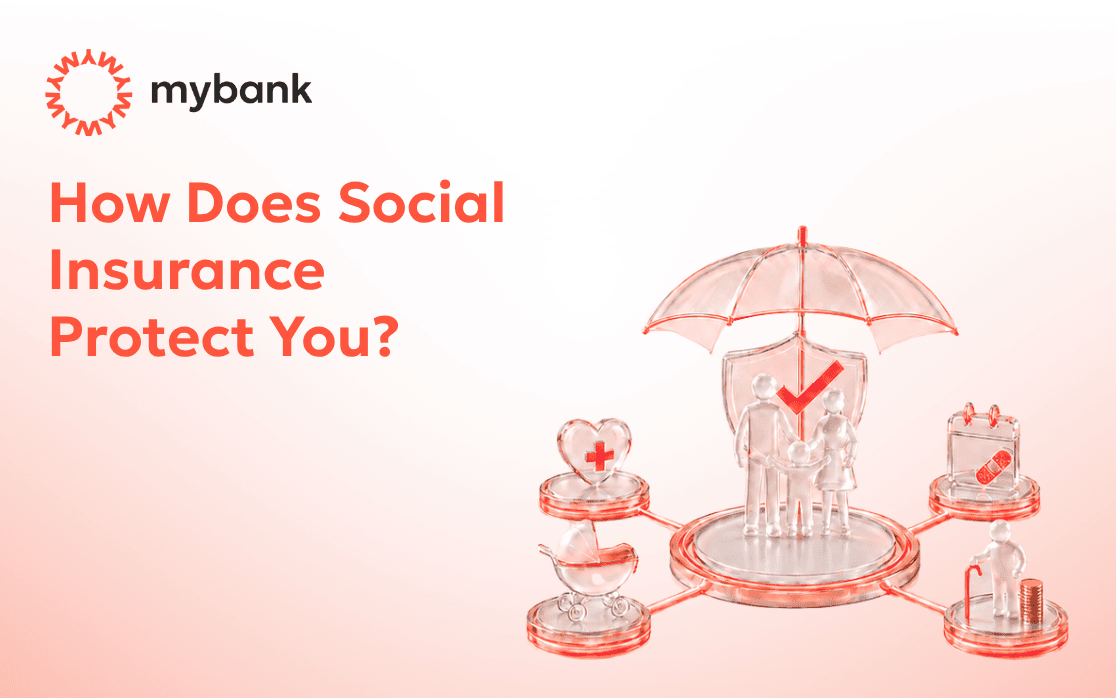 What Does Social Insurance Provide?
